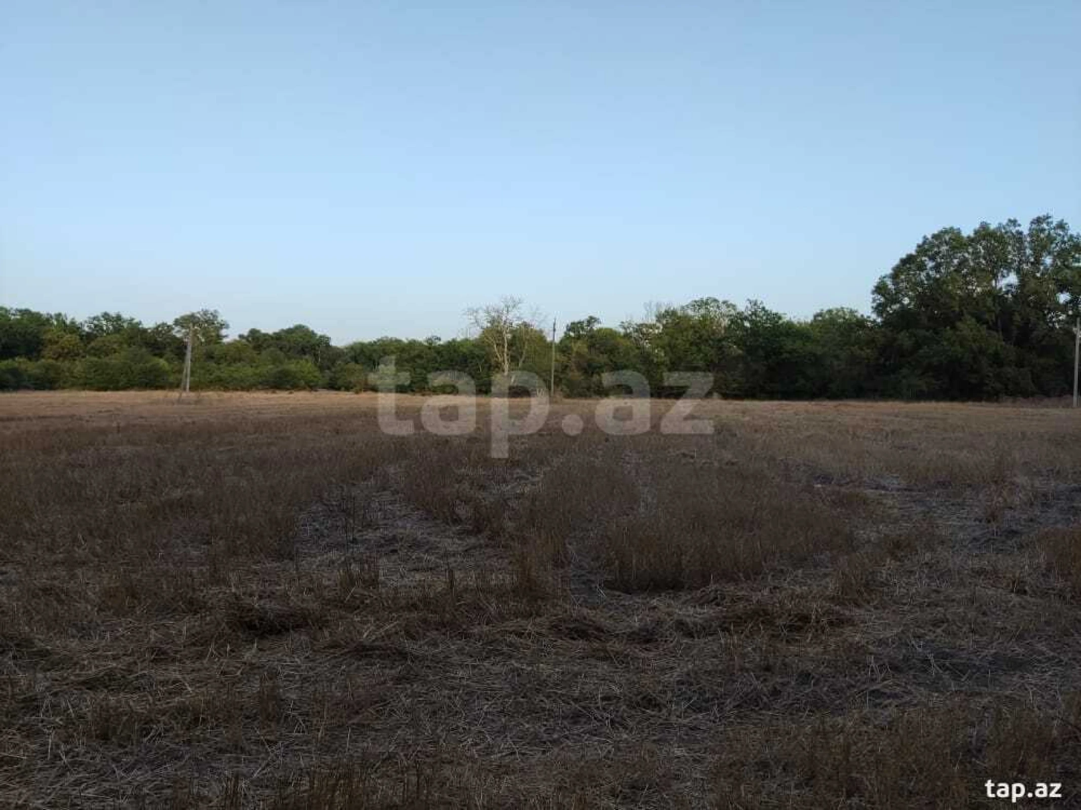 Satılır torpaq sahəsi