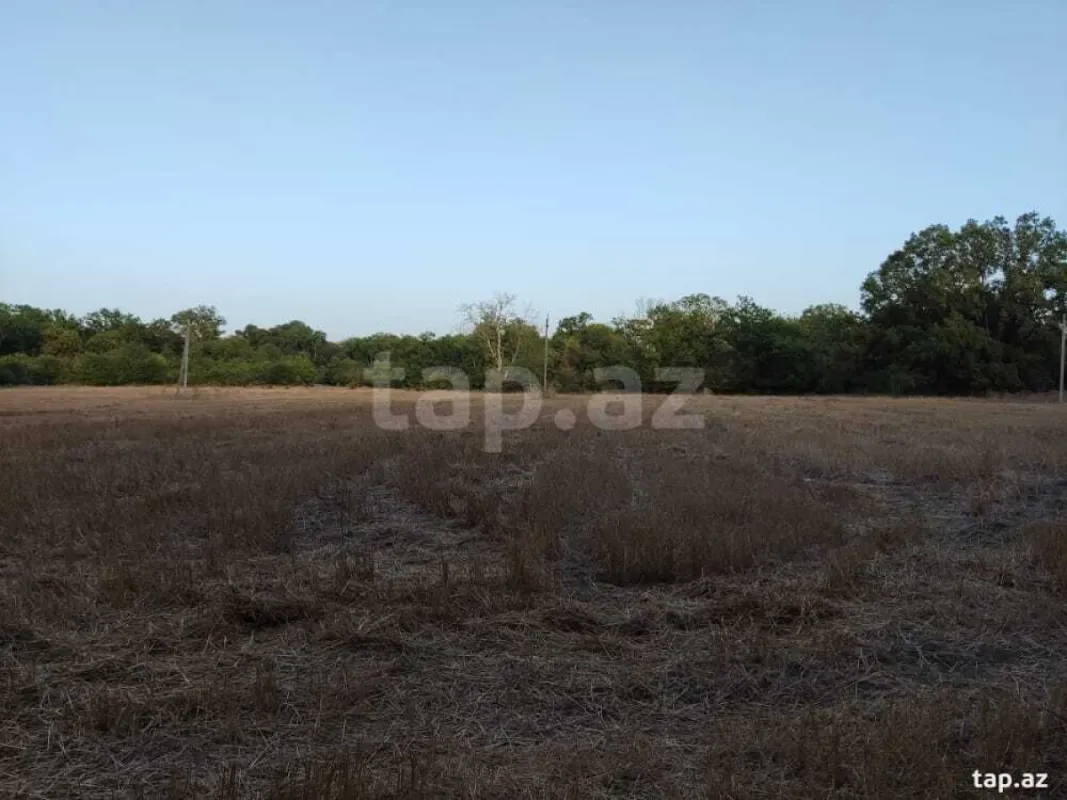 Satılır torpaq sahəsi