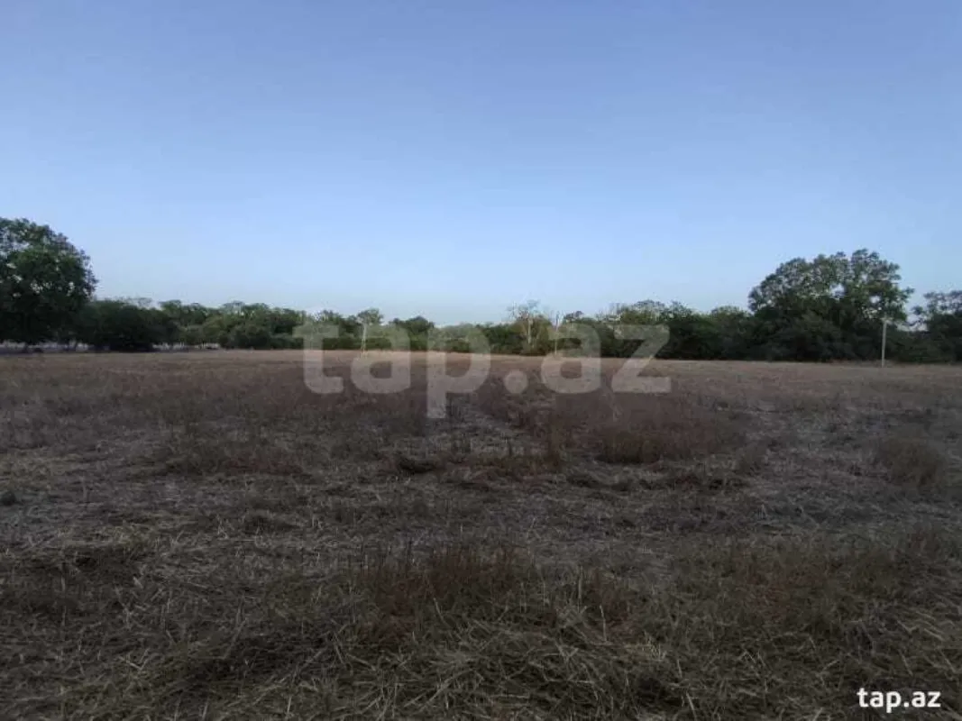 Satılır torpaq sahəsi