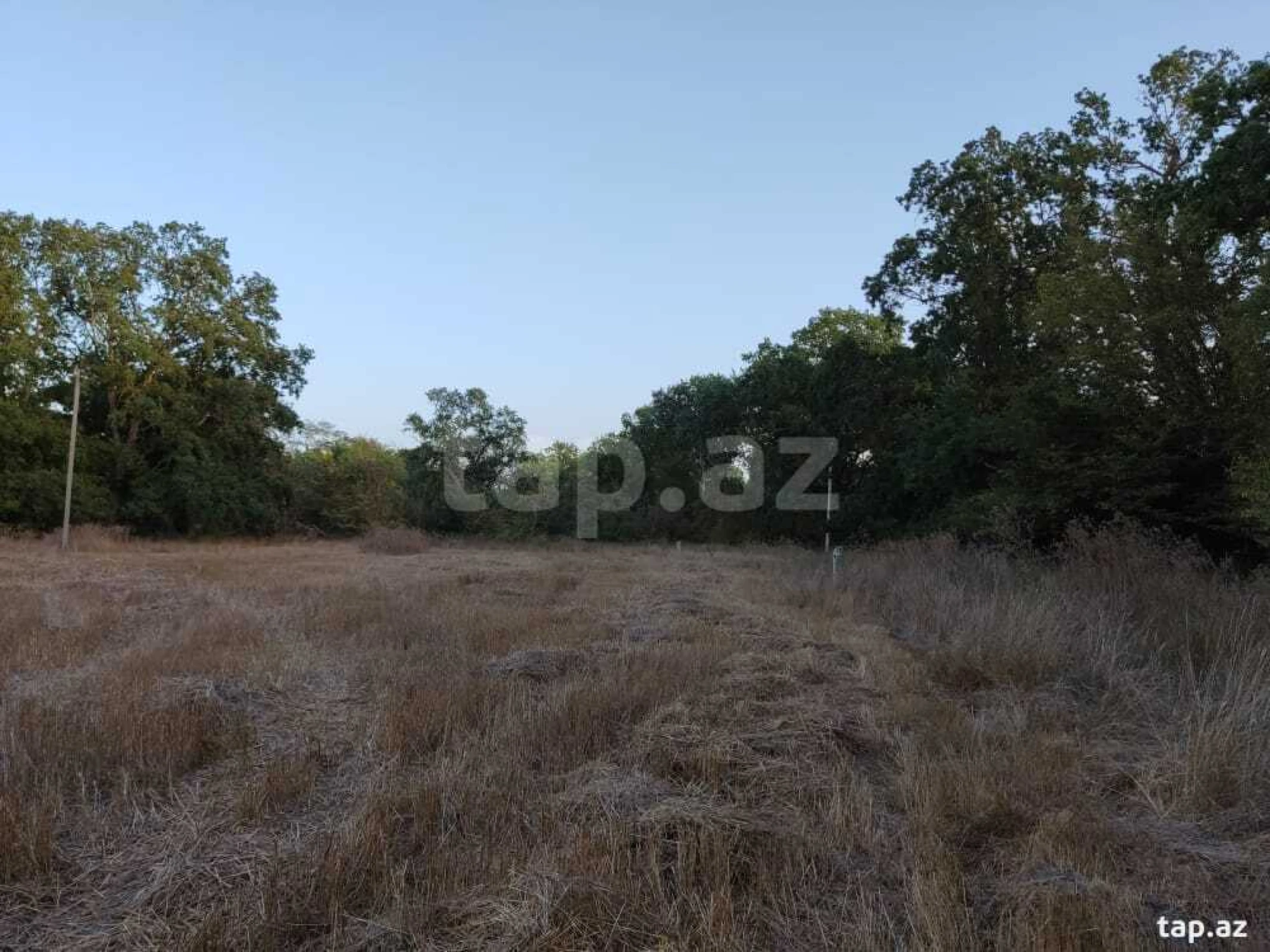 Satılır torpaq sahəsi