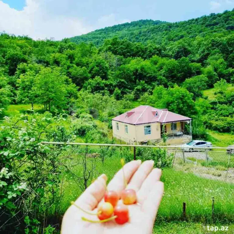 Kirayə verilir 3 otaqlı həyət evi 66.1 m²