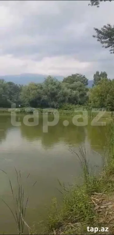 Satılır 2 otaqlı həyət evi