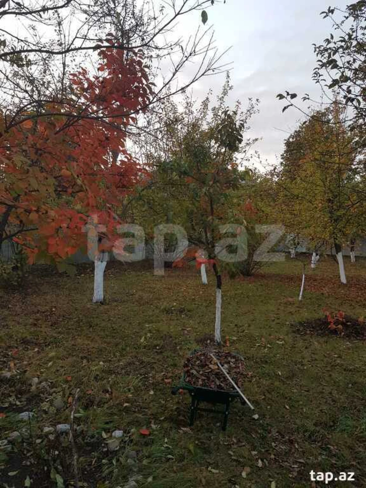 Satılır 2 otaqlı həyət evi