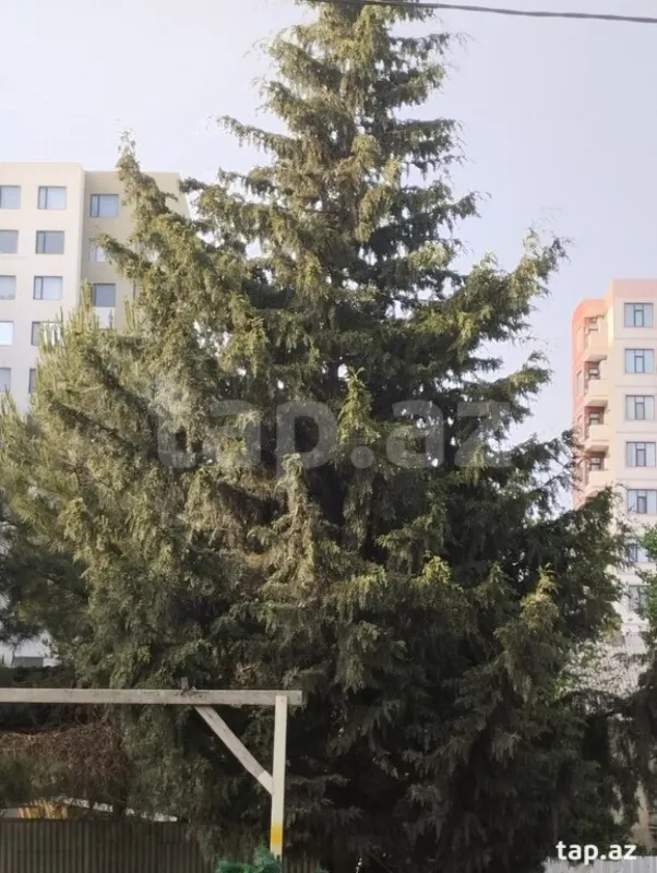 Satılır 3 otaqlı mənzil 70 m²