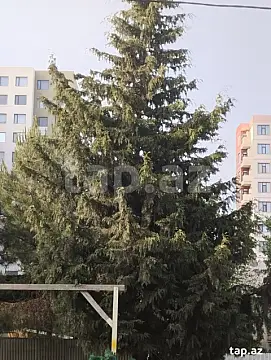 Satılır 3 otaqlı mənzil 70 m²