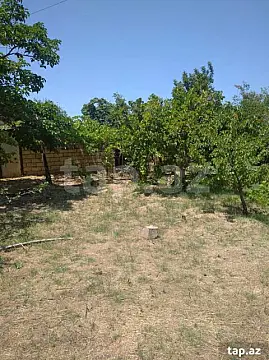 Satılır torpaq sahəsi — Bakı, Novxanı