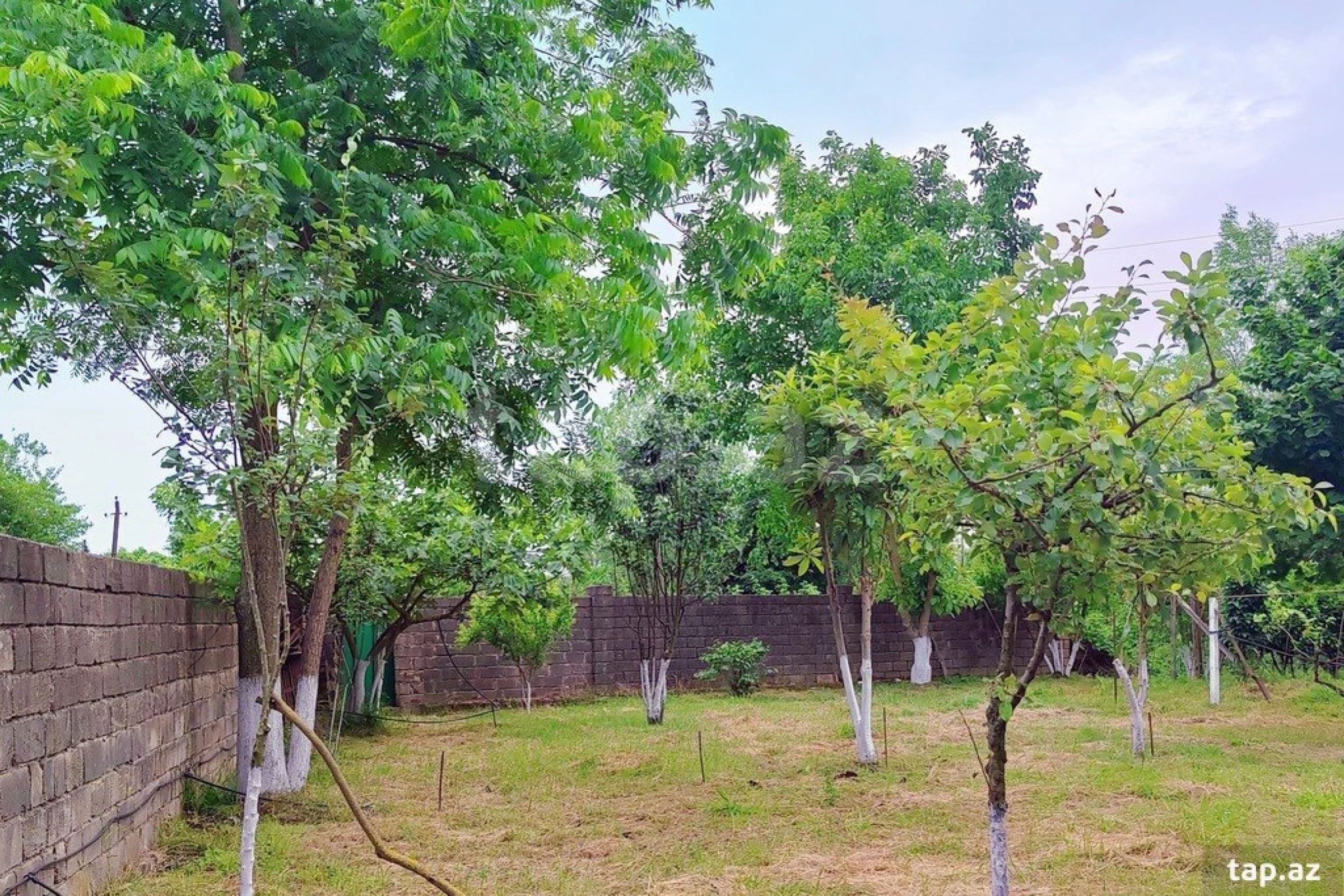 Kirayə verilir 3 otaqlı həyət evi