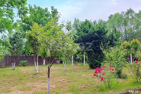 Kirayə verilir 3 otaqlı həyət evi