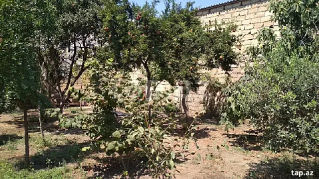 Satılır torpaq sahəsi — Xırdalan, Xırdalan