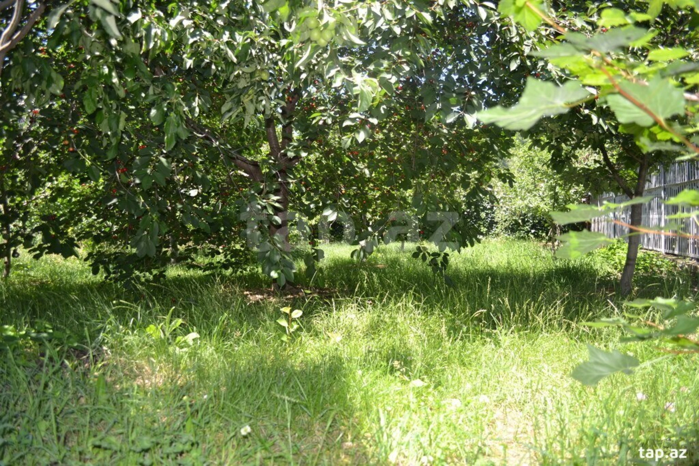 Kirayə verilir 3 otaqlı həyət evi