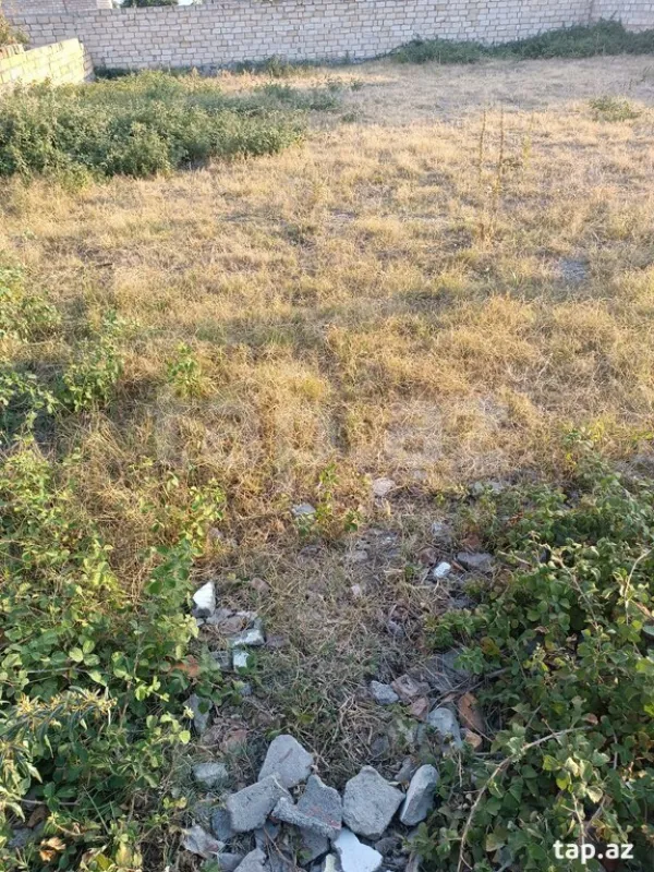 Satılır torpaq sahəsi