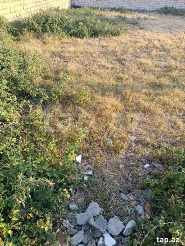 Satılır torpaq sahəsi