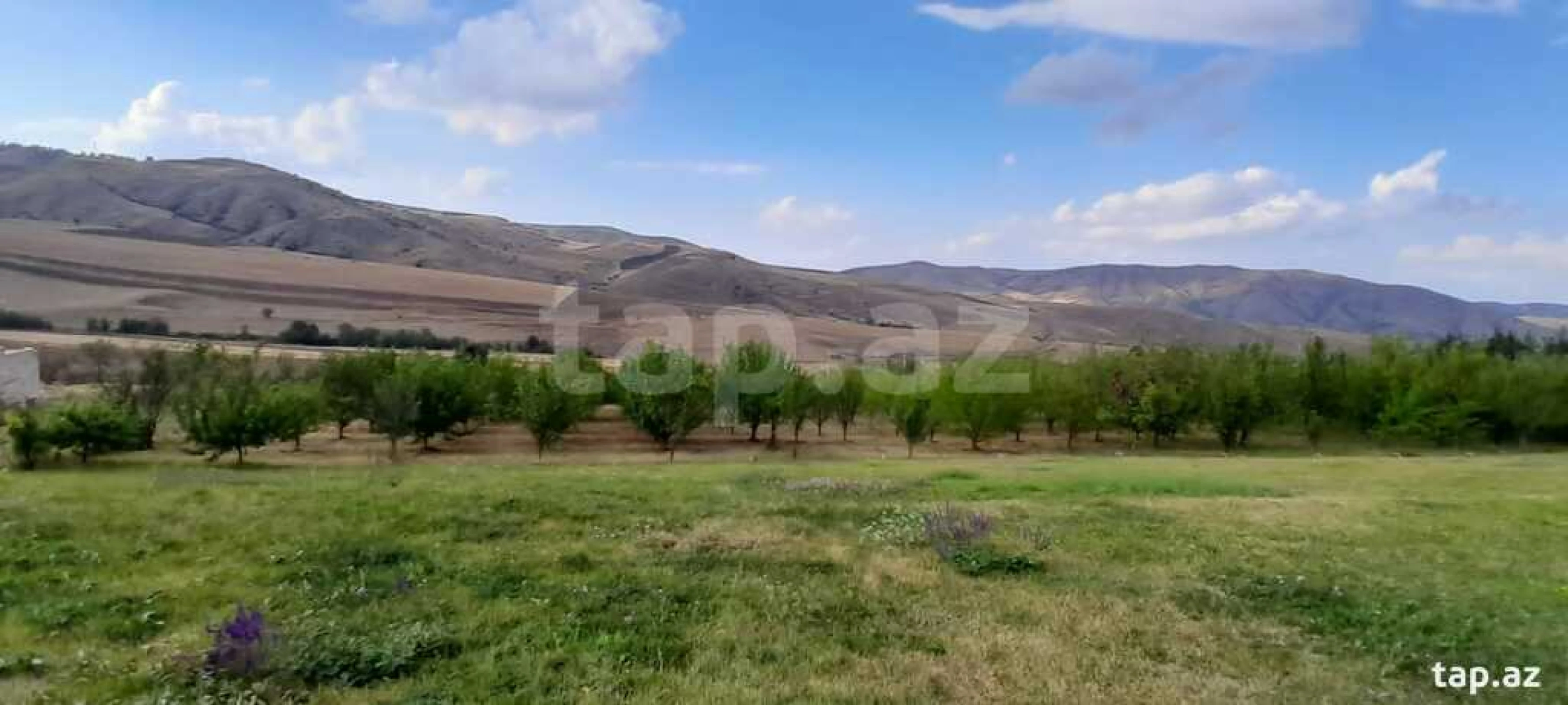 Satılır 15 otaqlı həyət evi