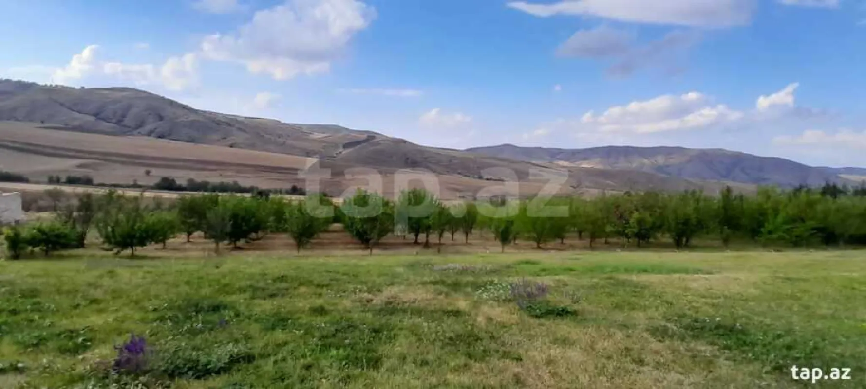 Satılır 15 otaqlı həyət evi