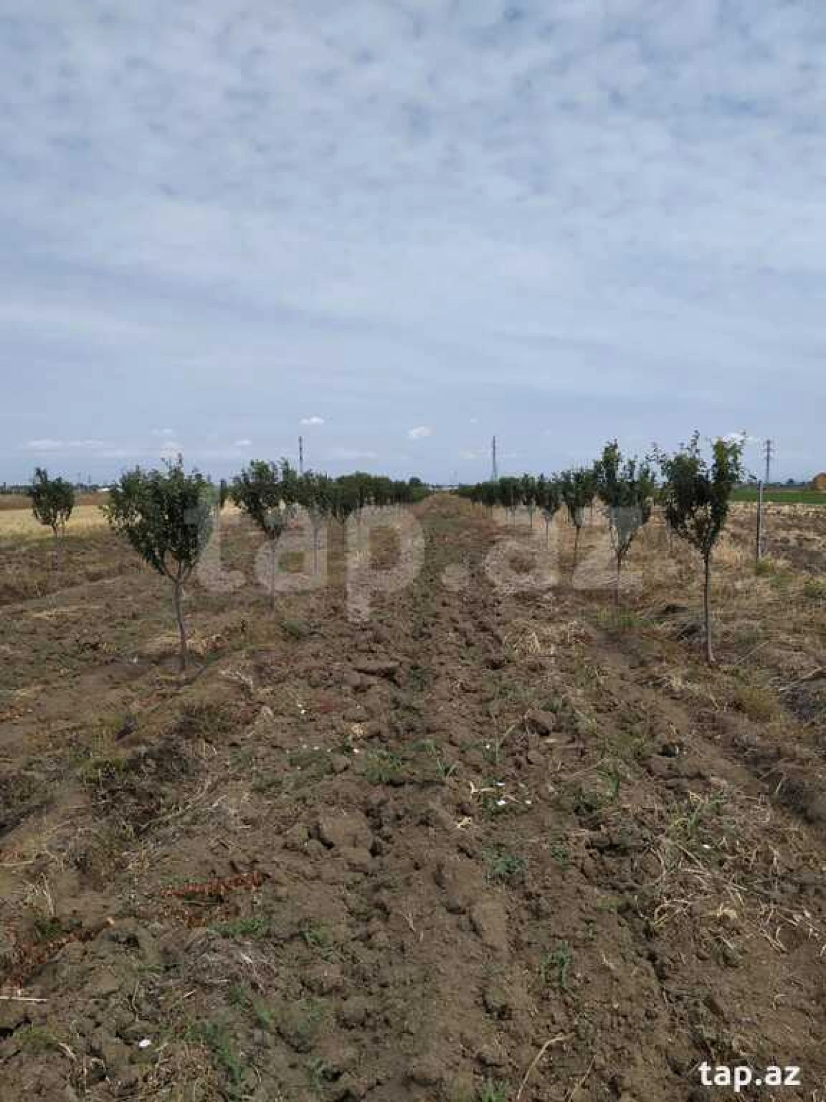 Satılır torpaq sahəsi
