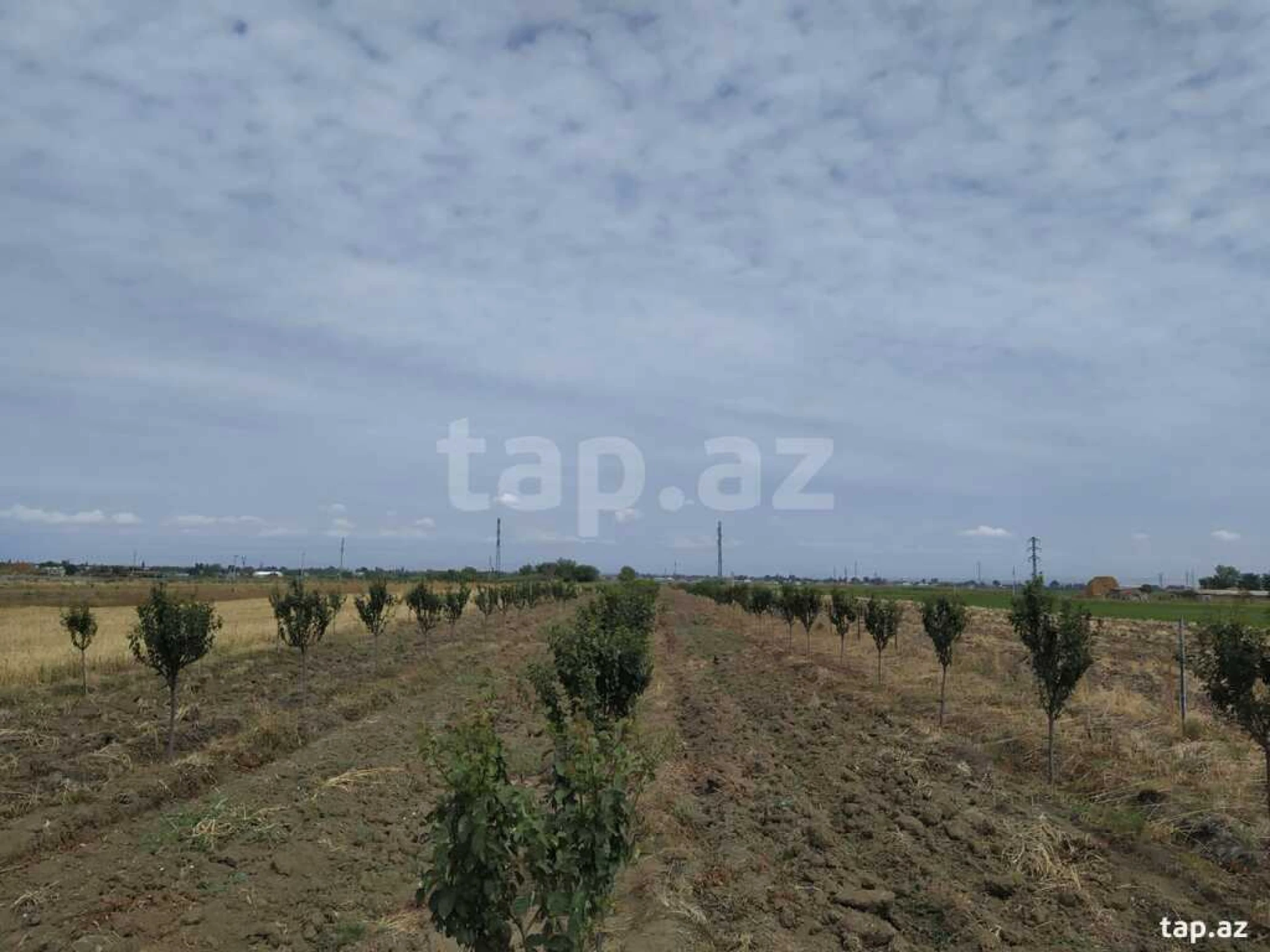 Satılır torpaq sahəsi