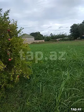 Satılır torpaq sahəsi — Xaçmaz