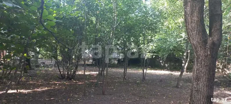Satılır torpaq sahəsi — İsmayıllı