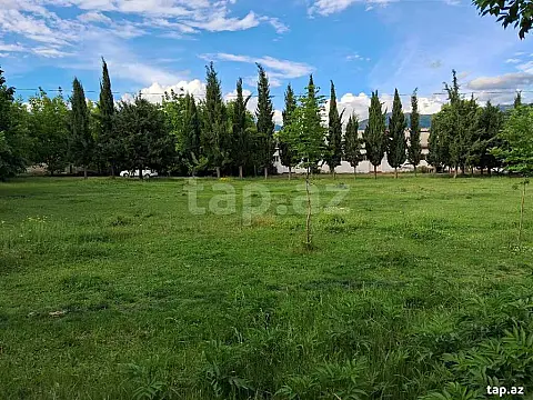 Satılır obyekt — Zaqatala