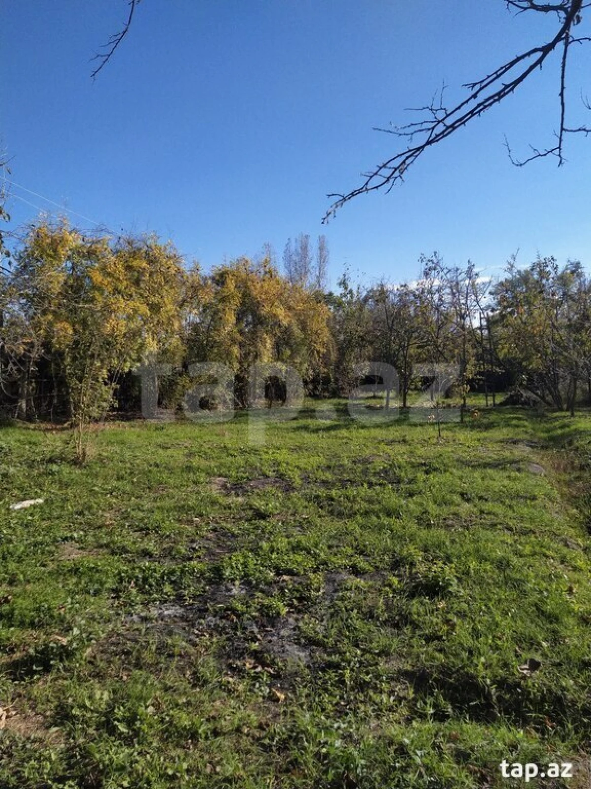 Satılır torpaq sahəsi