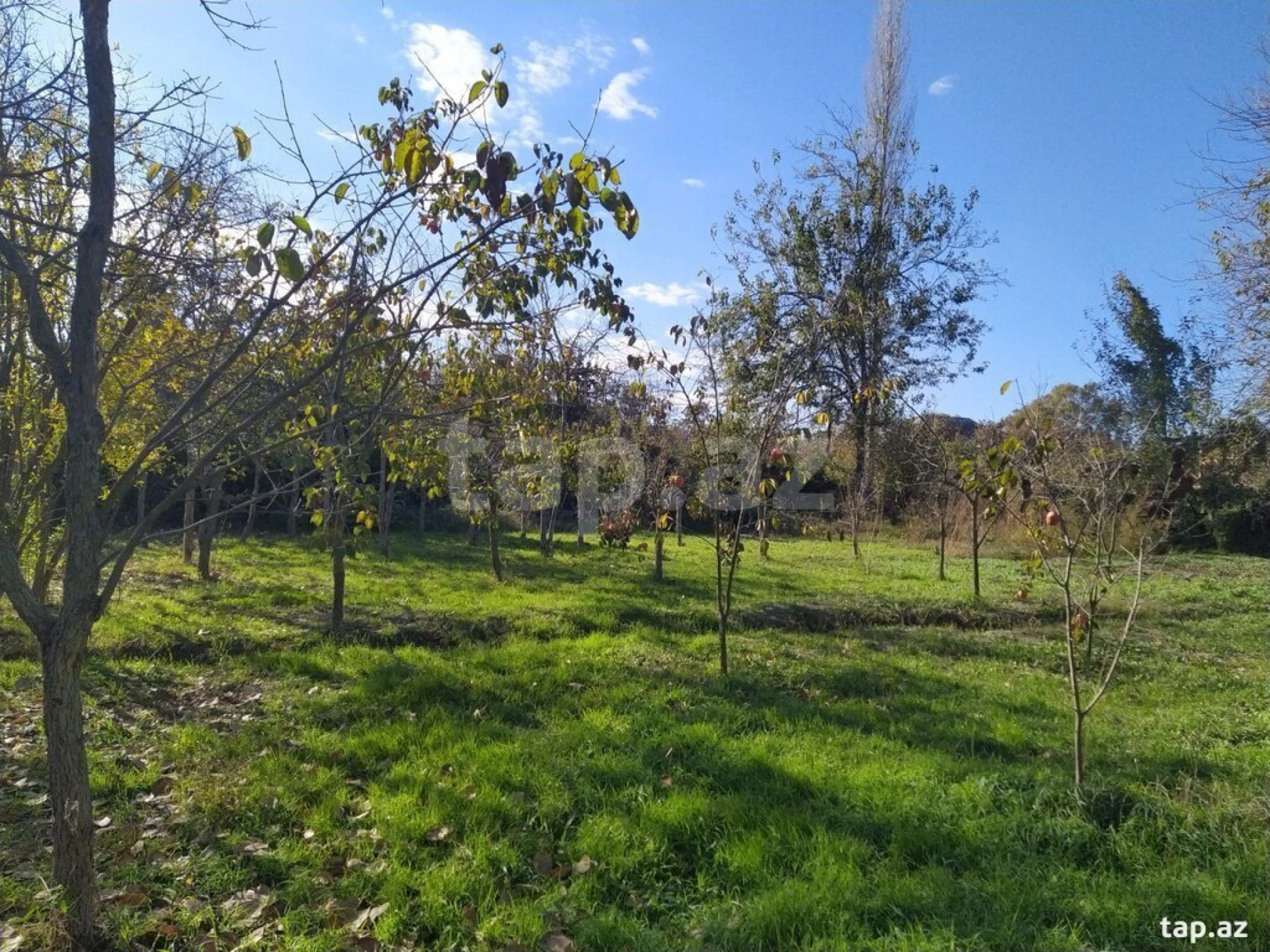 Satılır torpaq sahəsi