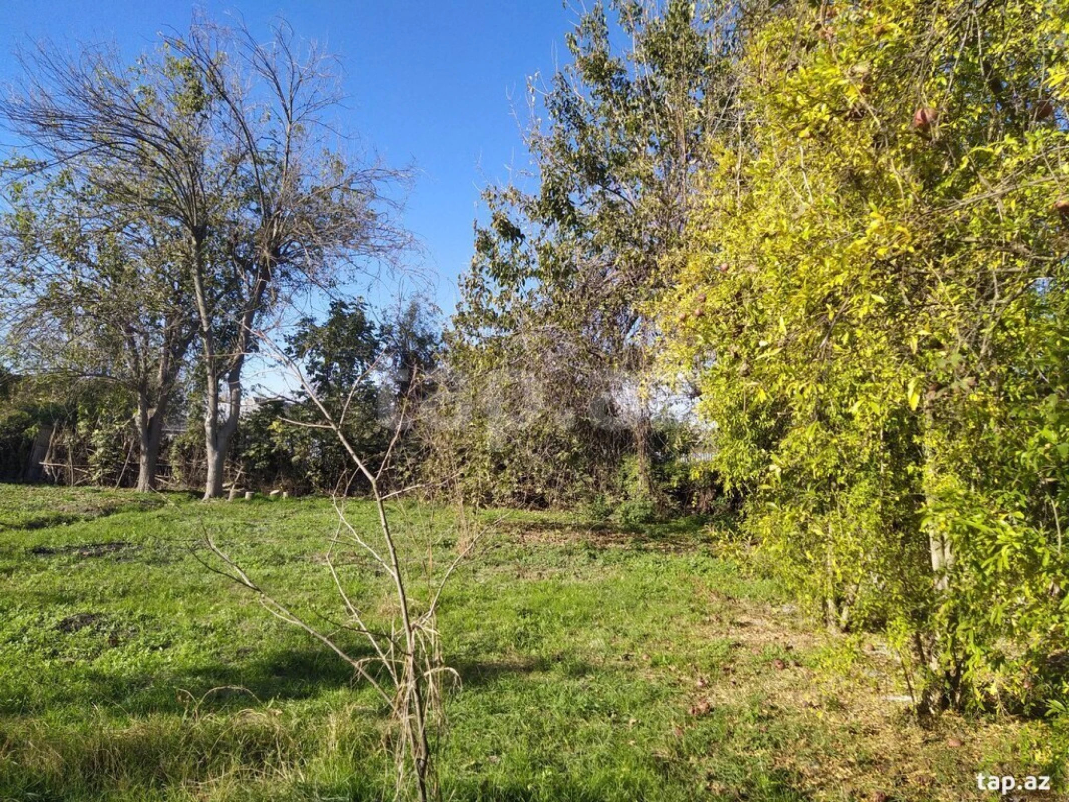 Satılır torpaq sahəsi