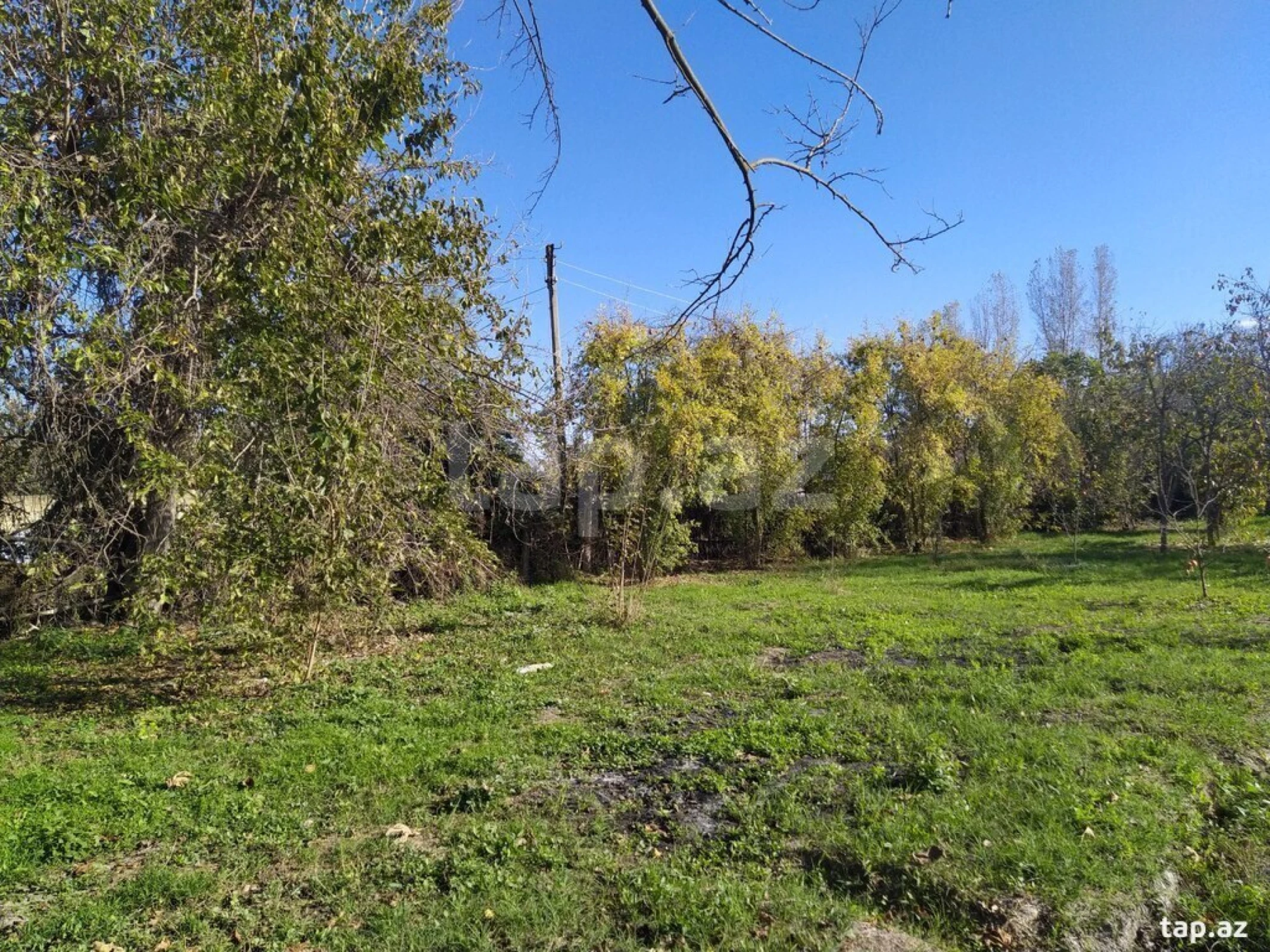 Satılır torpaq sahəsi