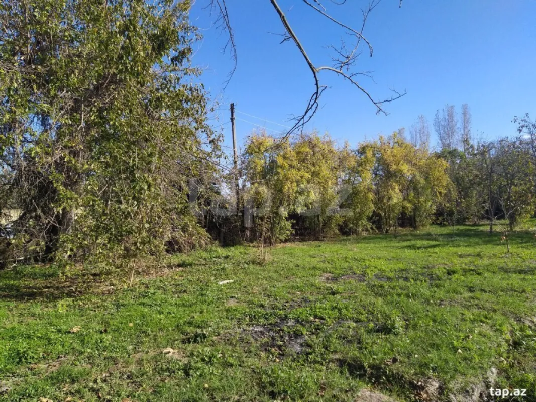 Satılır torpaq sahəsi