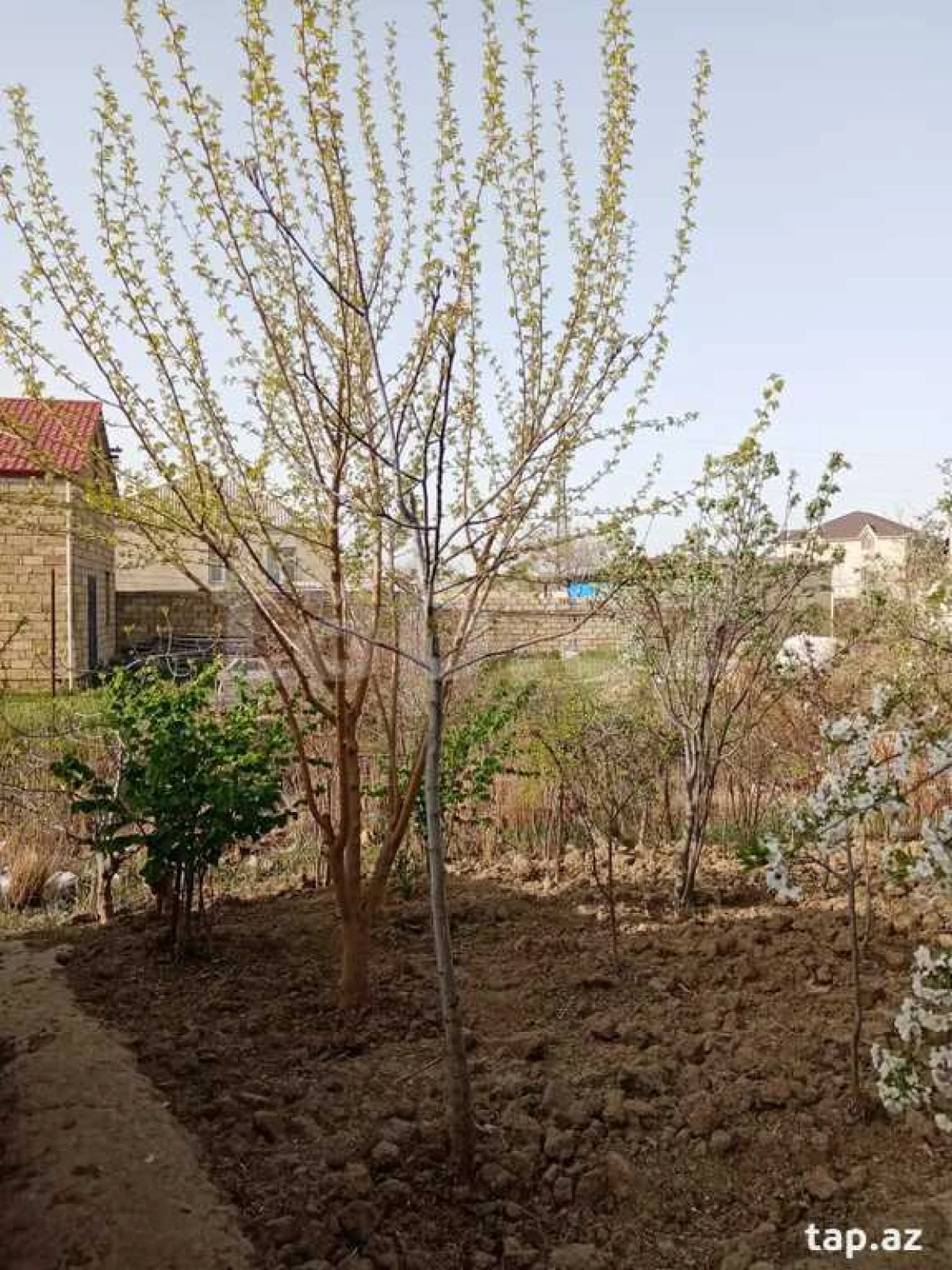Satılır 4 otaqlı həyət evi