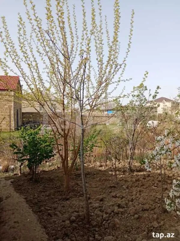 Satılır 4 otaqlı həyət evi