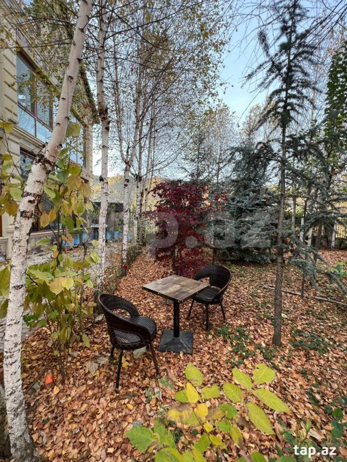 Kirayə verilir 7 otaqlı həyət evi