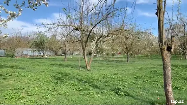 Satılır torpaq sahəsi — İsmayıllı