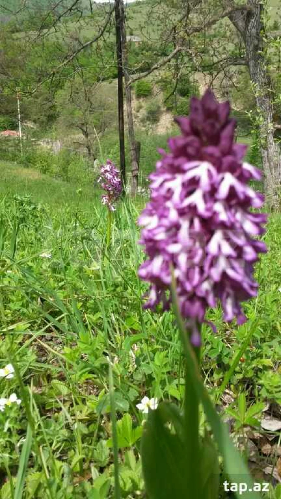 Kirayə verilir 4 otaqlı həyət evi 150 m²