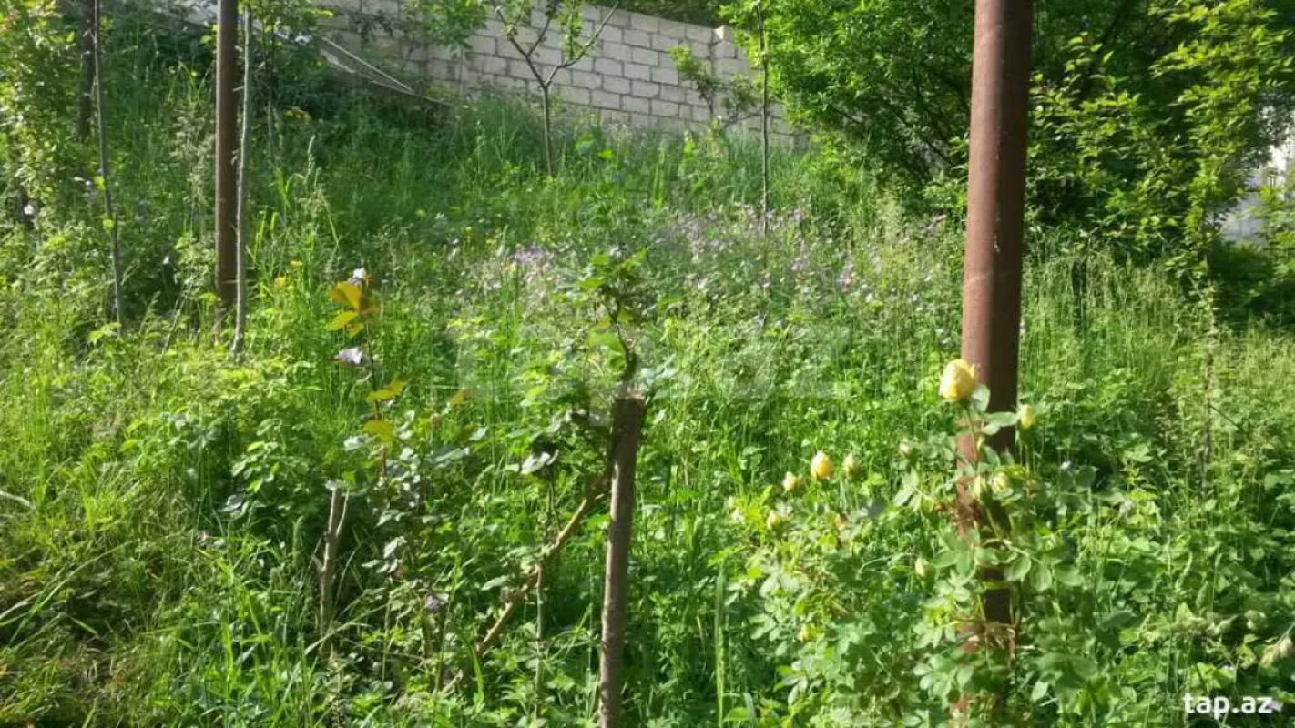 Kirayə verilir 4 otaqlı həyət evi 150 m²