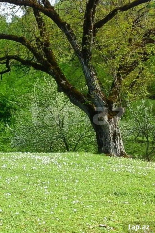 Kirayə verilir 4 otaqlı həyət evi 150 m²
