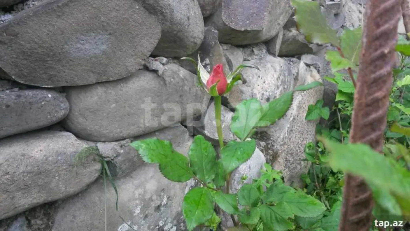 Kirayə verilir 4 otaqlı həyət evi 150 m²