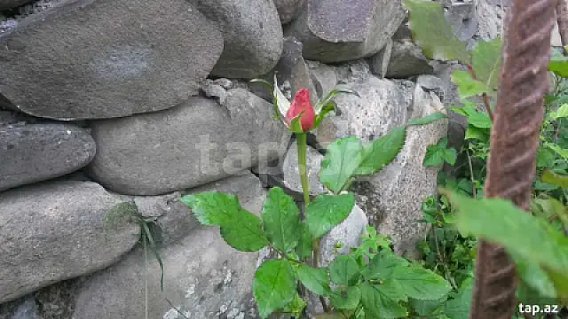 Kirayə verilir 4 otaqlı həyət evi 150 m²