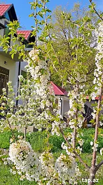 Kirayə verilir 4 otaqlı həyət evi 150 m²