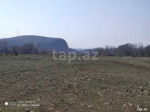 Satılır torpaq sahəsi