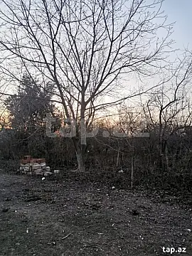 Satılır 2 otaqlı həyət evi 40 m²