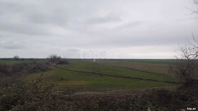 Satılır torpaq sahəsi — Xaçmaz