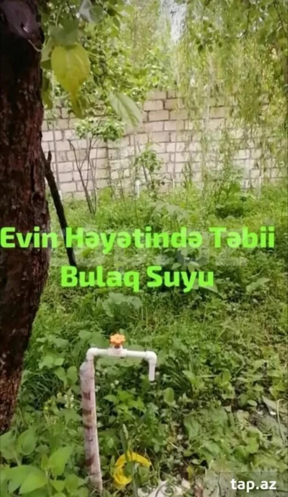 Kirayə verilir 3 otaqlı həyət evi
