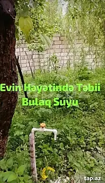 Kirayə verilir 3 otaqlı həyət evi
