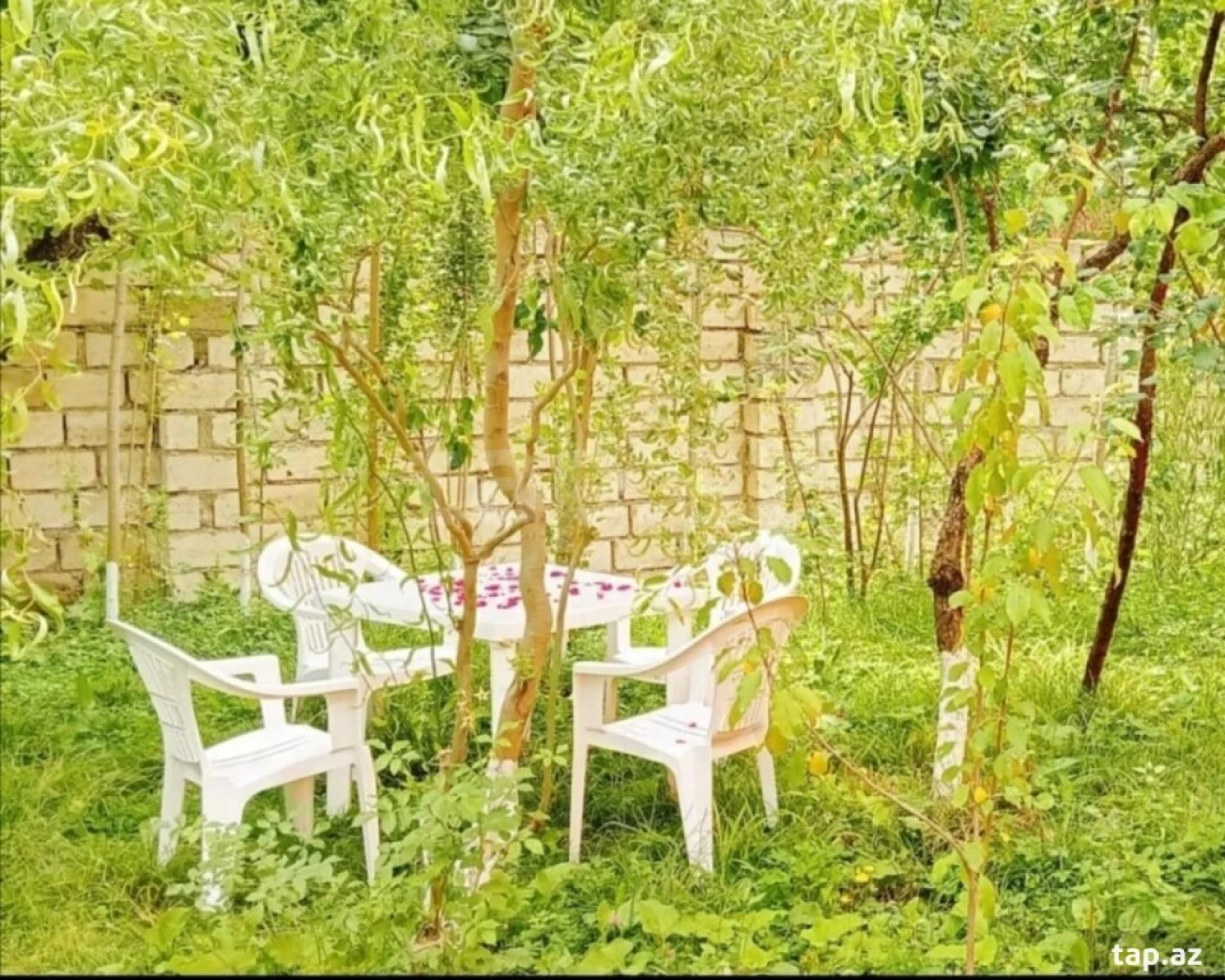 Kirayə verilir 3 otaqlı həyət evi