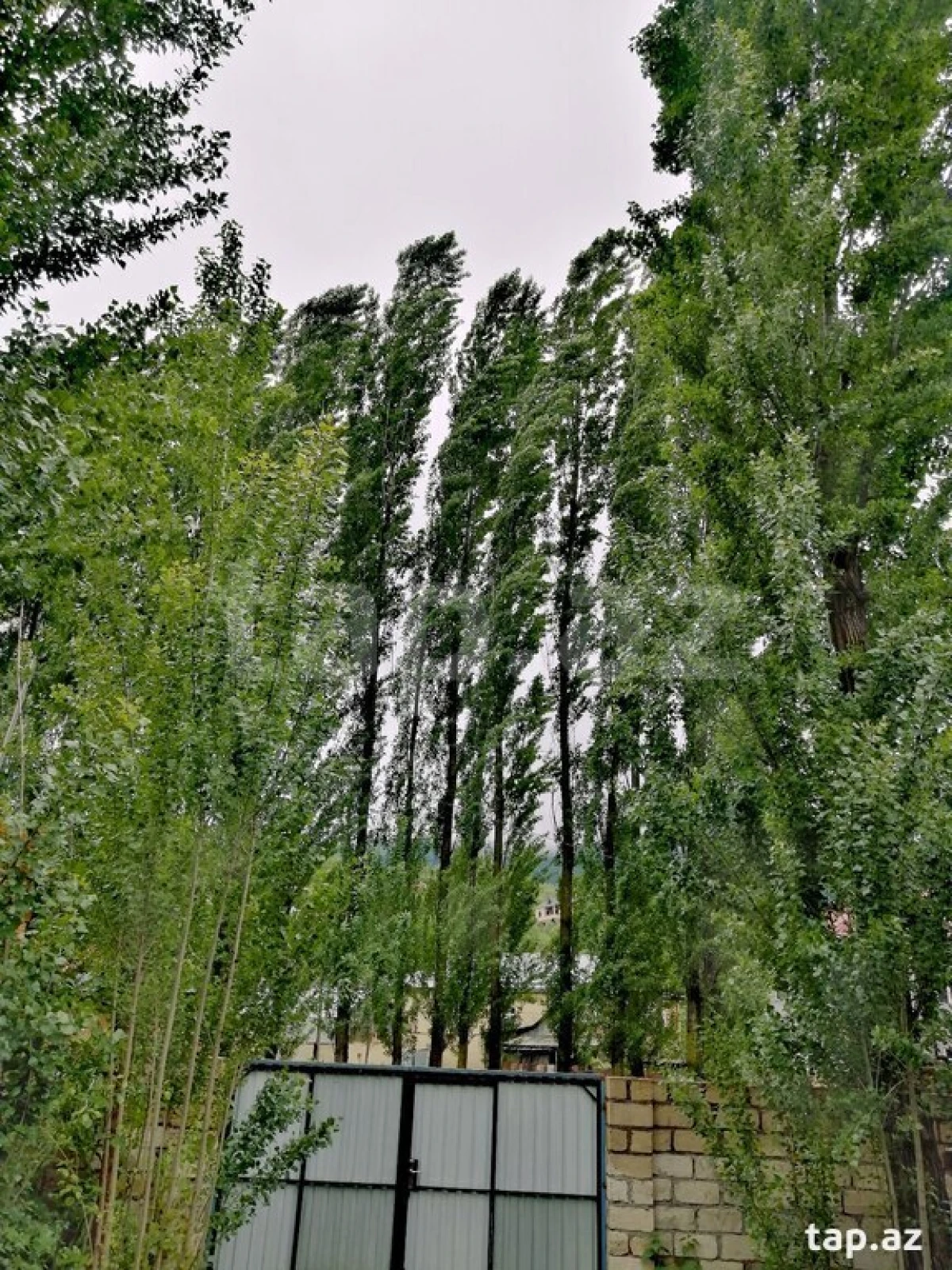 Kirayə verilir 3 otaqlı həyət evi