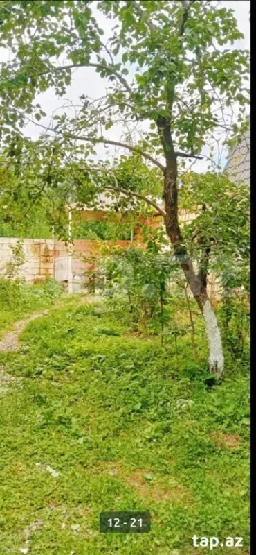 Kirayə verilir 3 otaqlı həyət evi