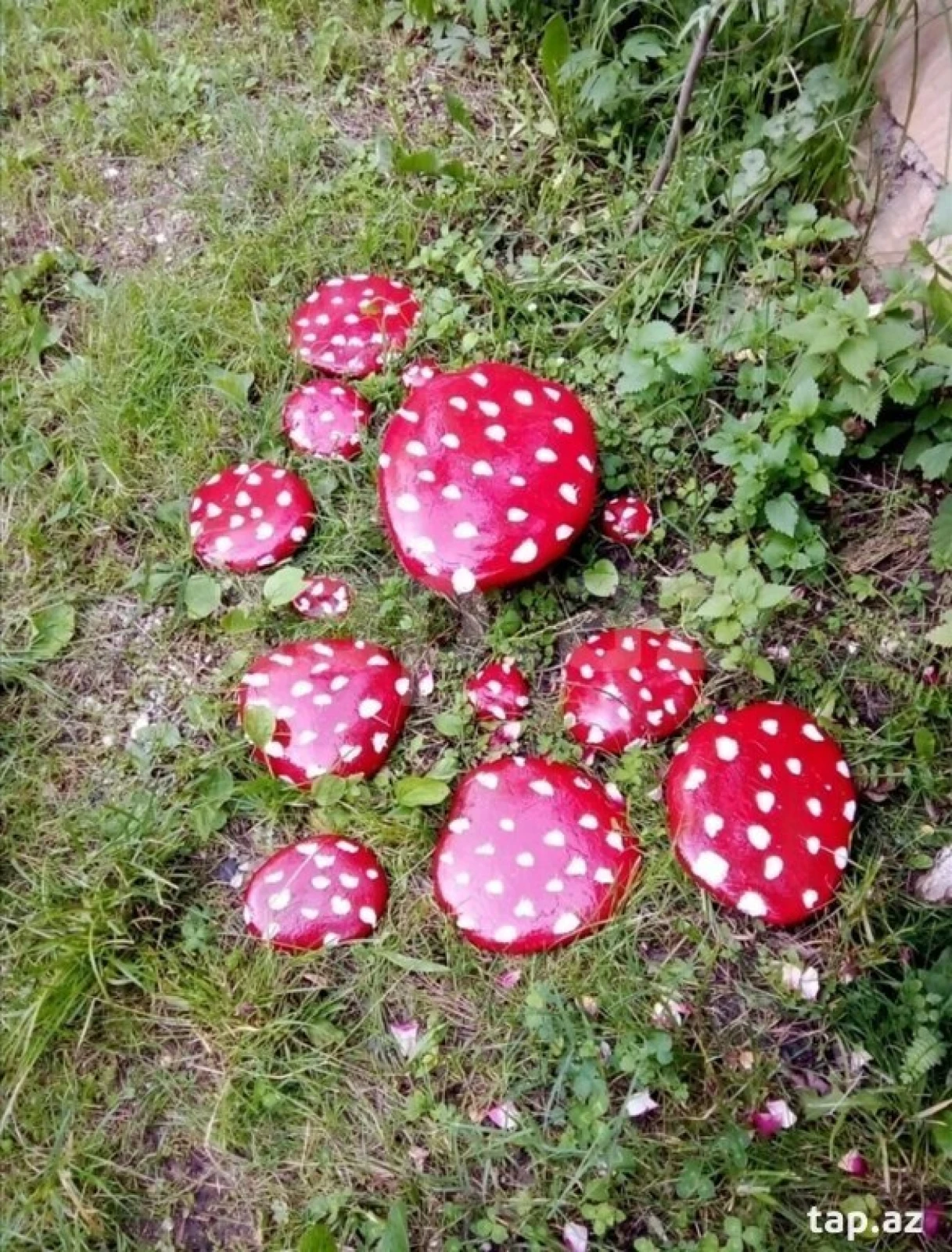 Kirayə verilir 3 otaqlı həyət evi