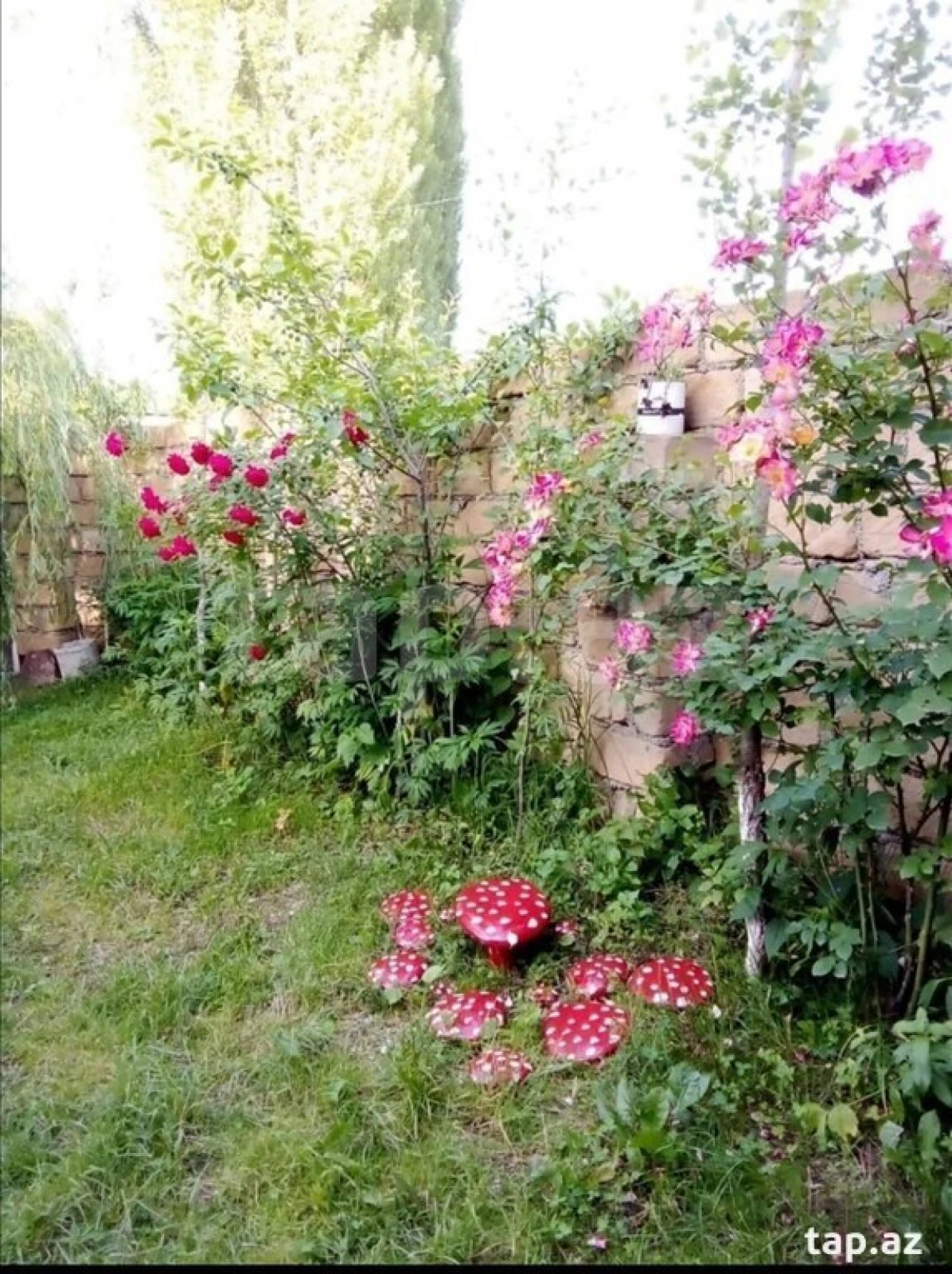 Kirayə verilir 3 otaqlı həyət evi