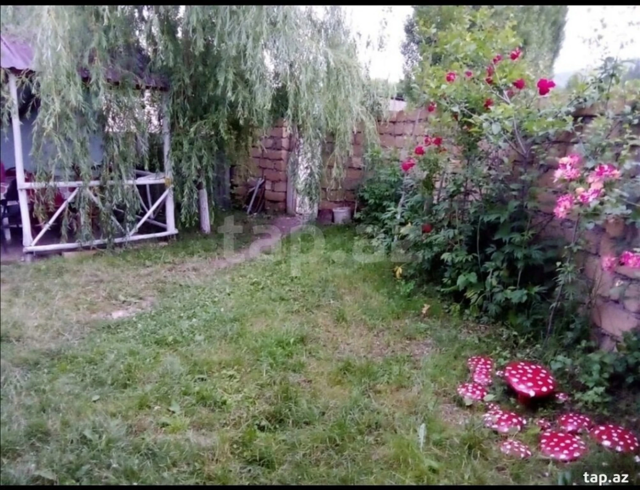 Kirayə verilir 3 otaqlı həyət evi