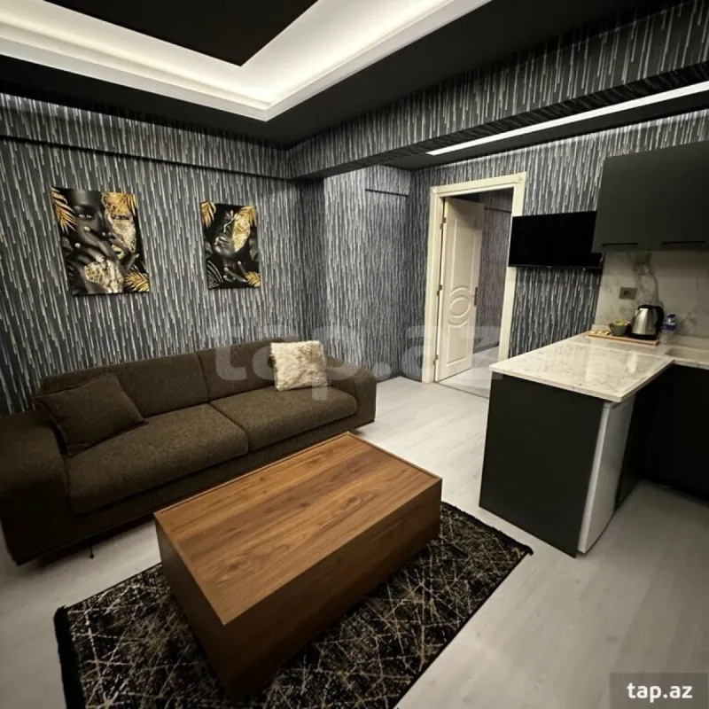 Kirayə verilir 2 otaqlı yeni tikili 65 m²